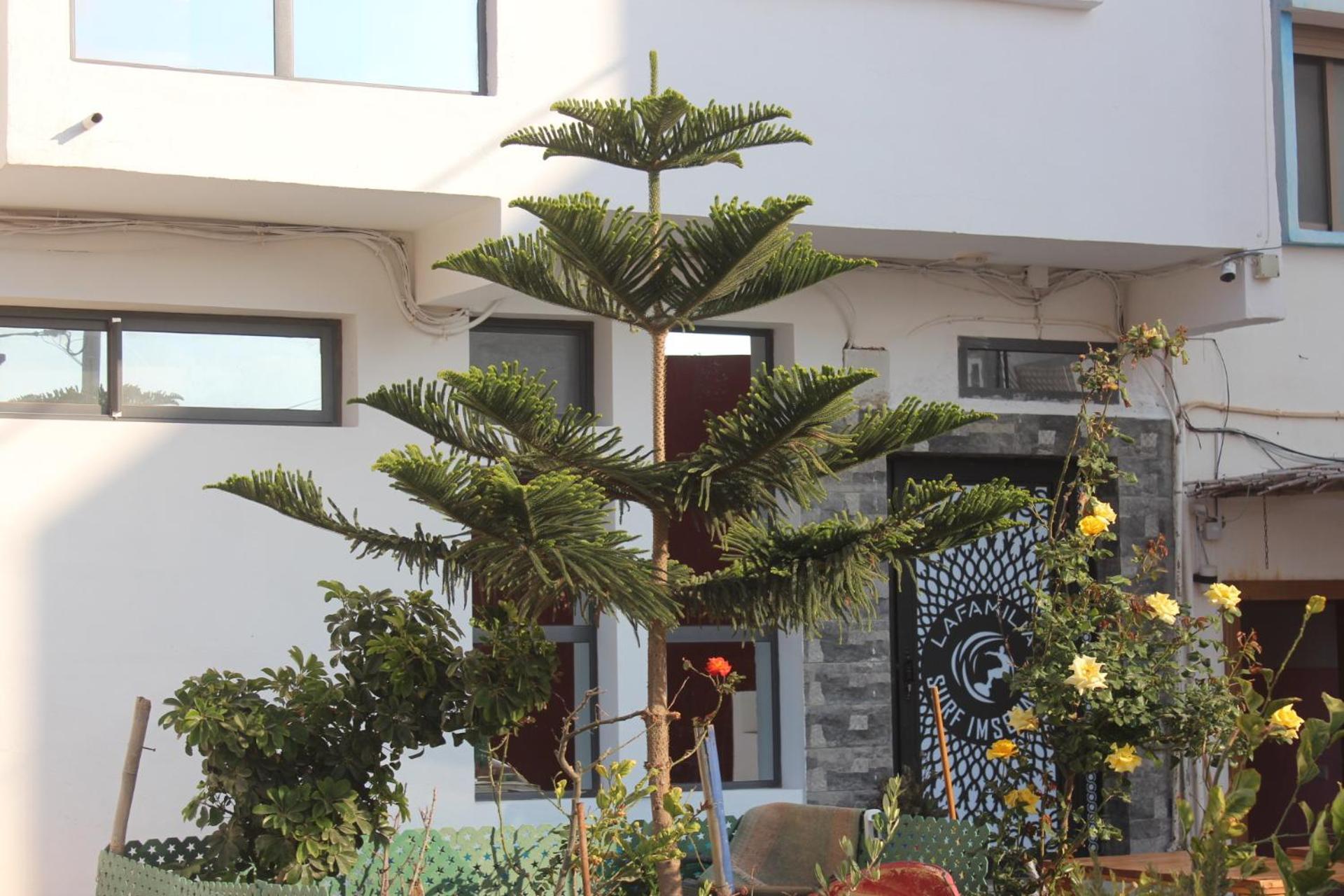 Lafamilia Surf Imsouane Hotel Luaran gambar